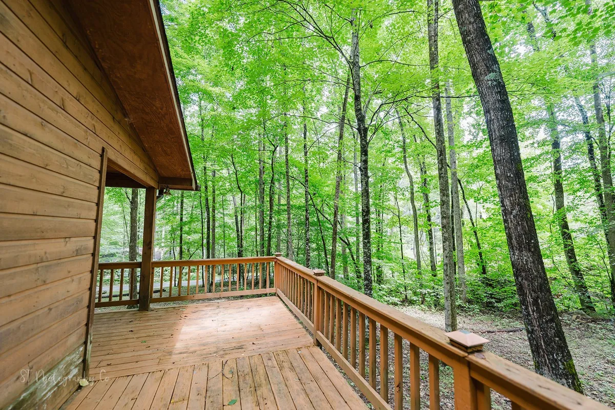 A serene wooden deck surrounded by tall trees, providing a tranquil spot that blends seamlessly with the natural environment. The open deck offers ample space for guests and their dogs to enjoy the fresh mountain air and direct access to outdoor walking trails.