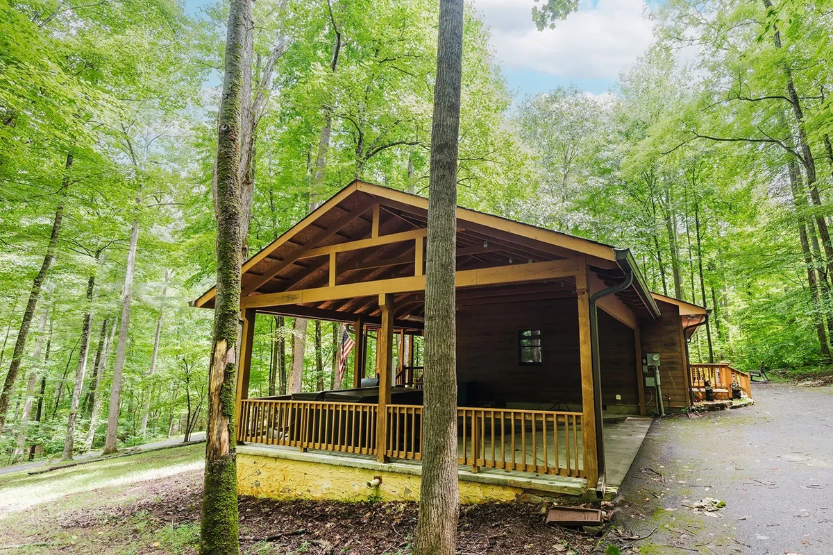 A peaceful wooden porch nestled among tall trees, featuring exposed rafters overhead and plenty of space for relaxing. The porch looks inviting for guests to sit and enjoy the outdoors, with views of the surrounding forest and easy access to nature trails.