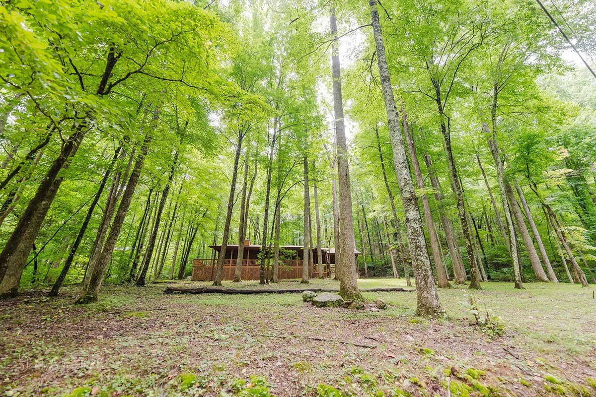 A charming wooden structure nestled beneath tall, leafy trees, enveloped in lush greenery. The setting exudes tranquility and is ideal for nature walks, wildlife observation, or simply soaking up the peaceful environment with pets.